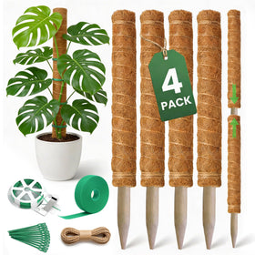 The Blooming Jungle 4-pack 16-inch moss poles ready for vertical plant support.