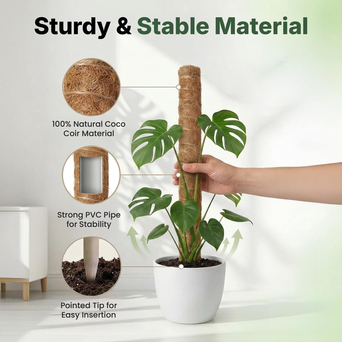 The Blooming Jungle coco coir moss pole offers natural texture for aerial roots.