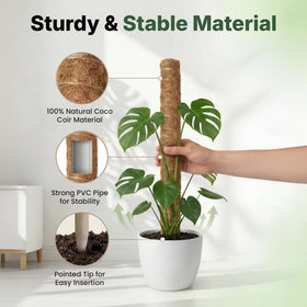 The Blooming Jungle coco coir moss pole offers natural texture for aerial roots.