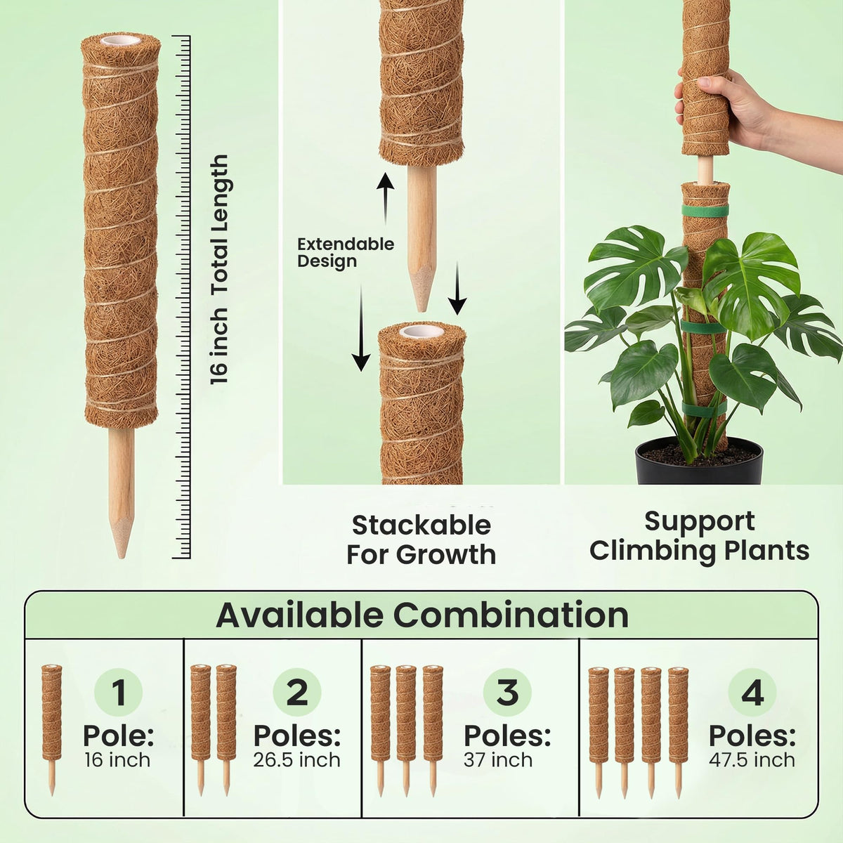The Blooming Jungle indoor plant stake kit supports climbing plants in any room.