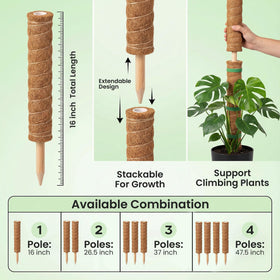 The Blooming Jungle indoor plant stake kit supports climbing plants in any room.