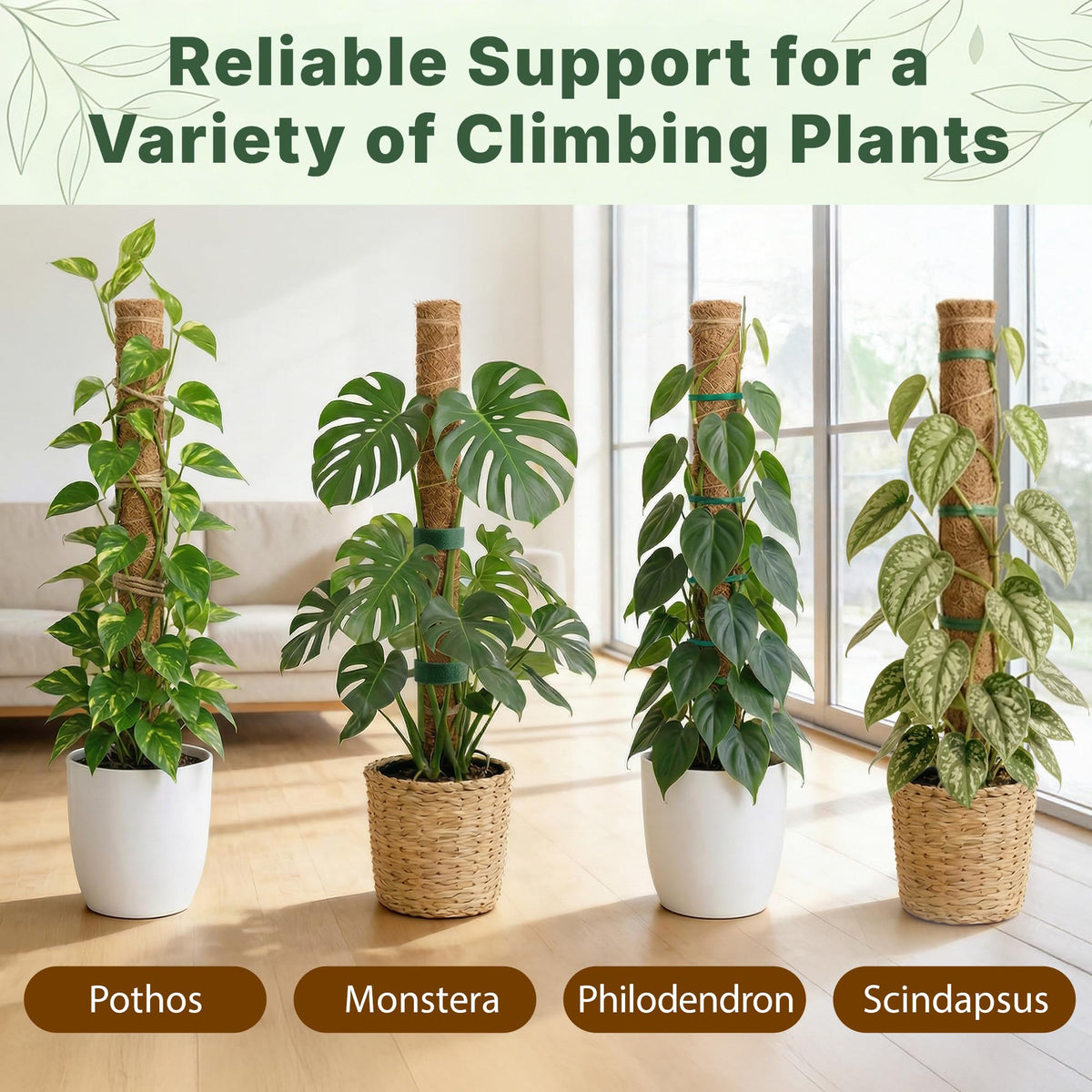 The Blooming Jungle jute rope helps guide climbers with natural texture.