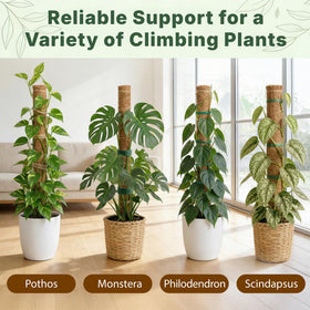 The Blooming Jungle jute rope helps guide climbers with natural texture.