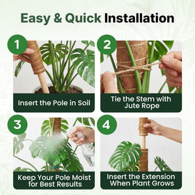 The Blooming Jungle PVC-core moss pole provides sturdy soil anchoring for stability.