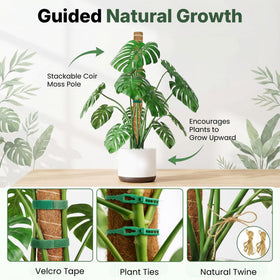 The Blooming Jungle zip ties keep components organized for tidy installation.
