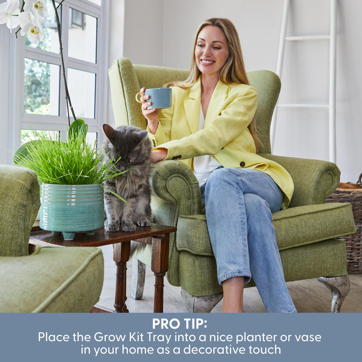 The Cat Ladies 4-inch sprout picture captures rapid growth in just days.