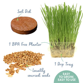 The Cat Ladies BPA-free container emphasizes safe, reusable planters for your cat grass kit.