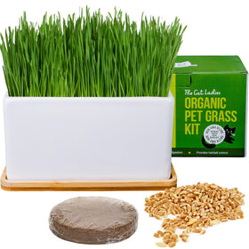 The Cat Ladies cat grass growing kit — ceramic planter ready for hairball control greens.
