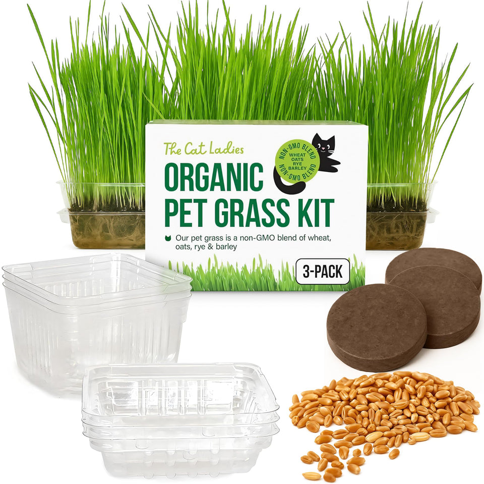 The Cat Ladies cat grass growing kit cover image showing an easy-start indoor greens setup