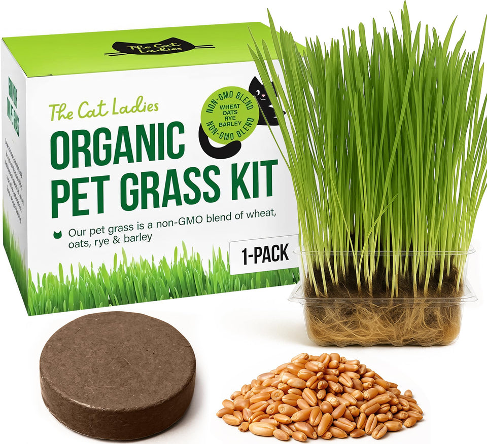 The Cat Ladies cat grass growing kit seed pack offers a fresh start for indoor greens.