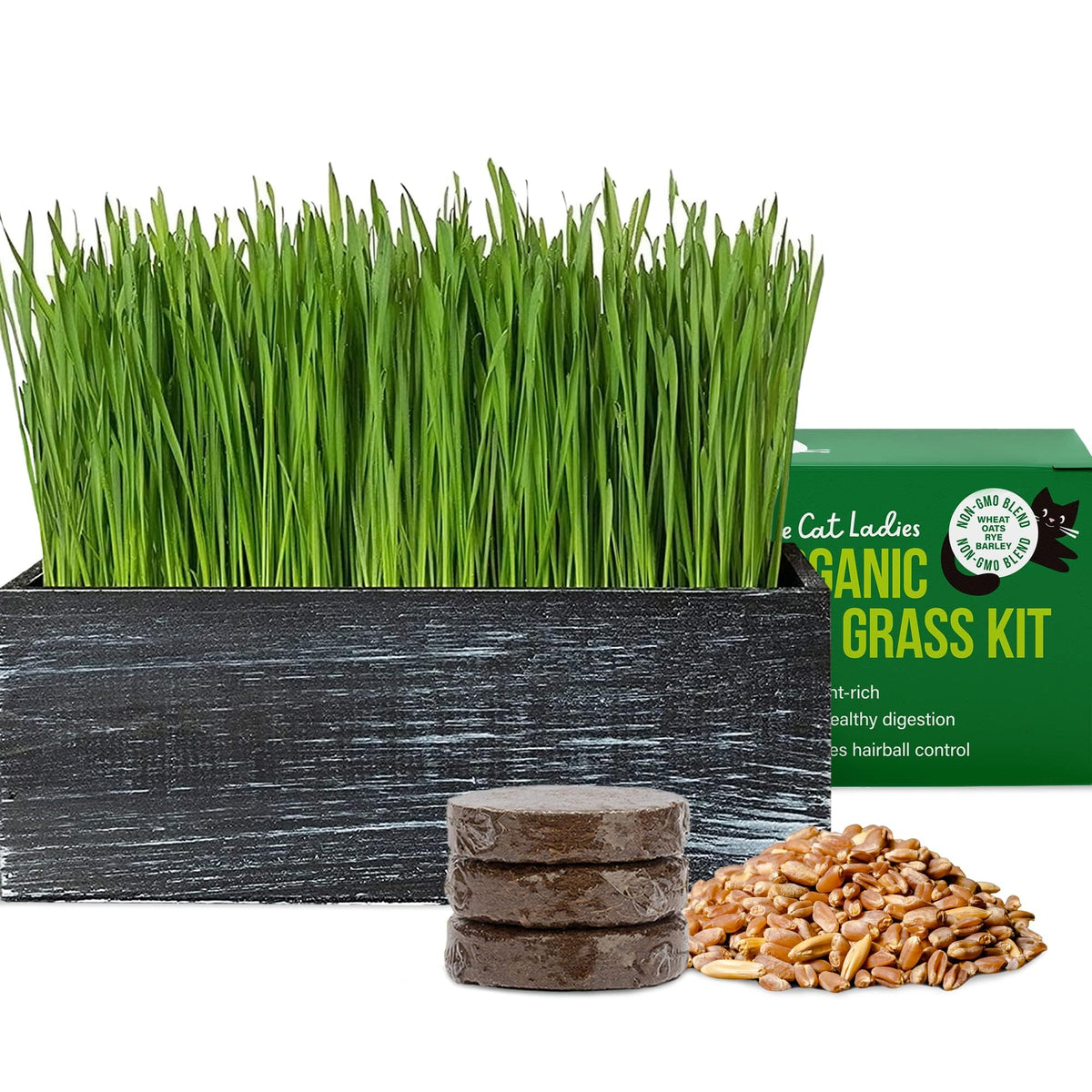 The Cat Ladies cat grass kit in a black planter, stylish and easy to grow indoors.