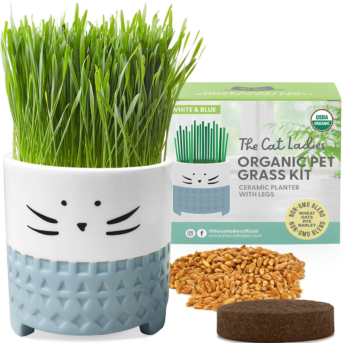 The Cat Ladies cat grass kit set up indoors, stylish planter included.