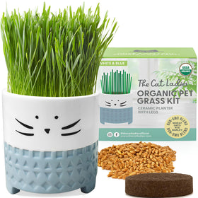 The Cat Ladies cat grass kit set up indoors, stylish planter included.