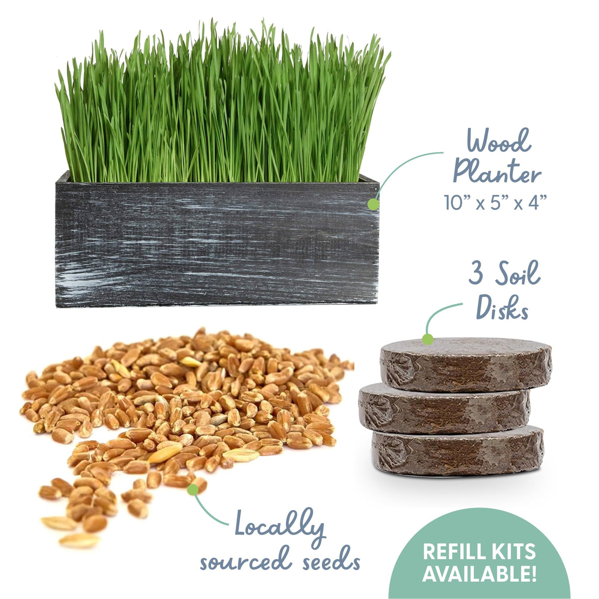 The Cat Ladies cat grass kit organic seeds pack ready to plant.