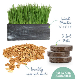 The Cat Ladies cat grass kit organic seeds pack ready to plant.