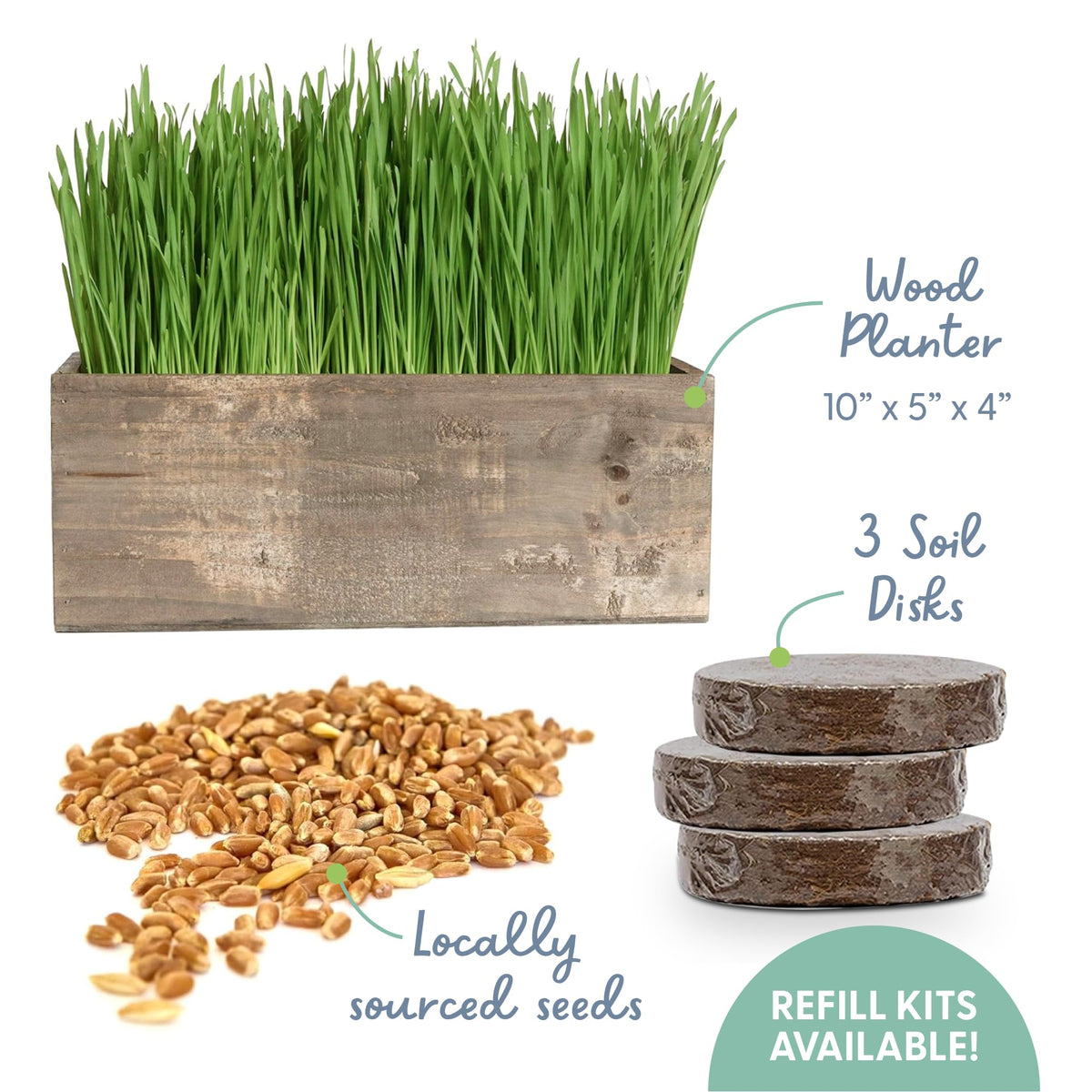 The Cat Ladies organic seeds and soil kit grows edible cat grass quickly for felines.