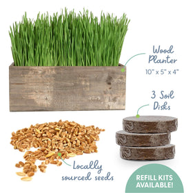The Cat Ladies organic seeds and soil kit grows edible cat grass quickly for felines.