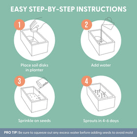 The Cat Ladies seeds sprouting in 4–7 days demonstrated by the kit.