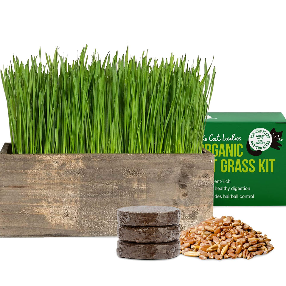 The Cat Ladies cat grass kit with rustic planter supports hairball prevention for cats.