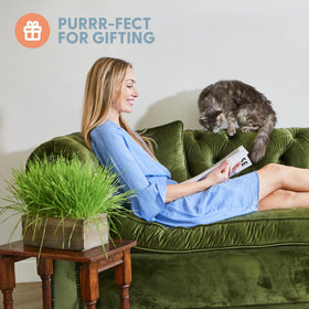 The rustic wood planter from The Cat Ladies kit enhances home decor while feeding cats.