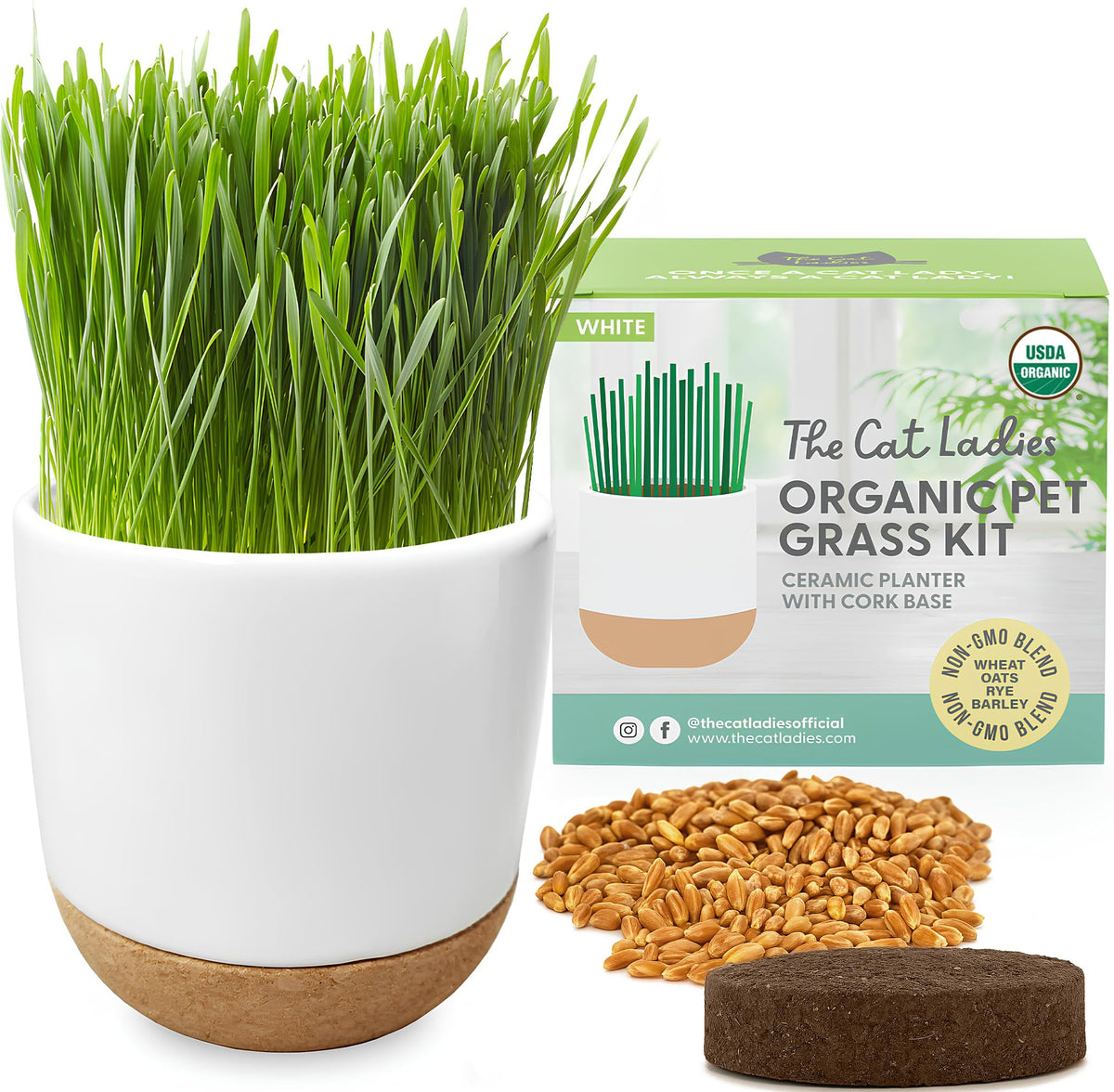 The Cat Ladies cat grass planter in ceramic cork adds stylish greenery to any room.