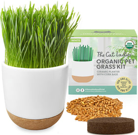 The Cat Ladies cat grass planter in ceramic cork adds stylish greenery to any room.