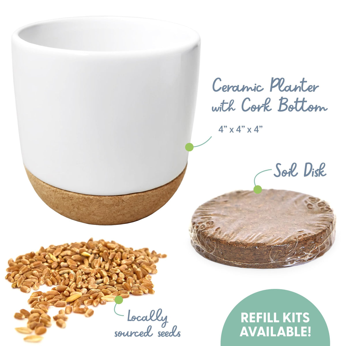 The Cat Ladies soil disk supports quick, beginner-friendly germination of cat grass.