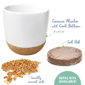 The Cat Ladies soil disk supports quick, beginner-friendly germination of cat grass.