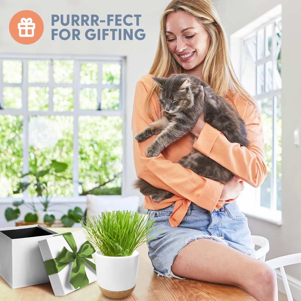 The Cat Ladies cat grass sprouts in 4–7 days show fast, low-effort growth.