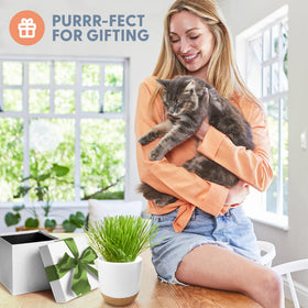 The Cat Ladies cat grass sprouts in 4–7 days show fast, low-effort growth.