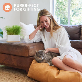 The Cat Ladies cat grass sprouts up to four inches in four to seven days.