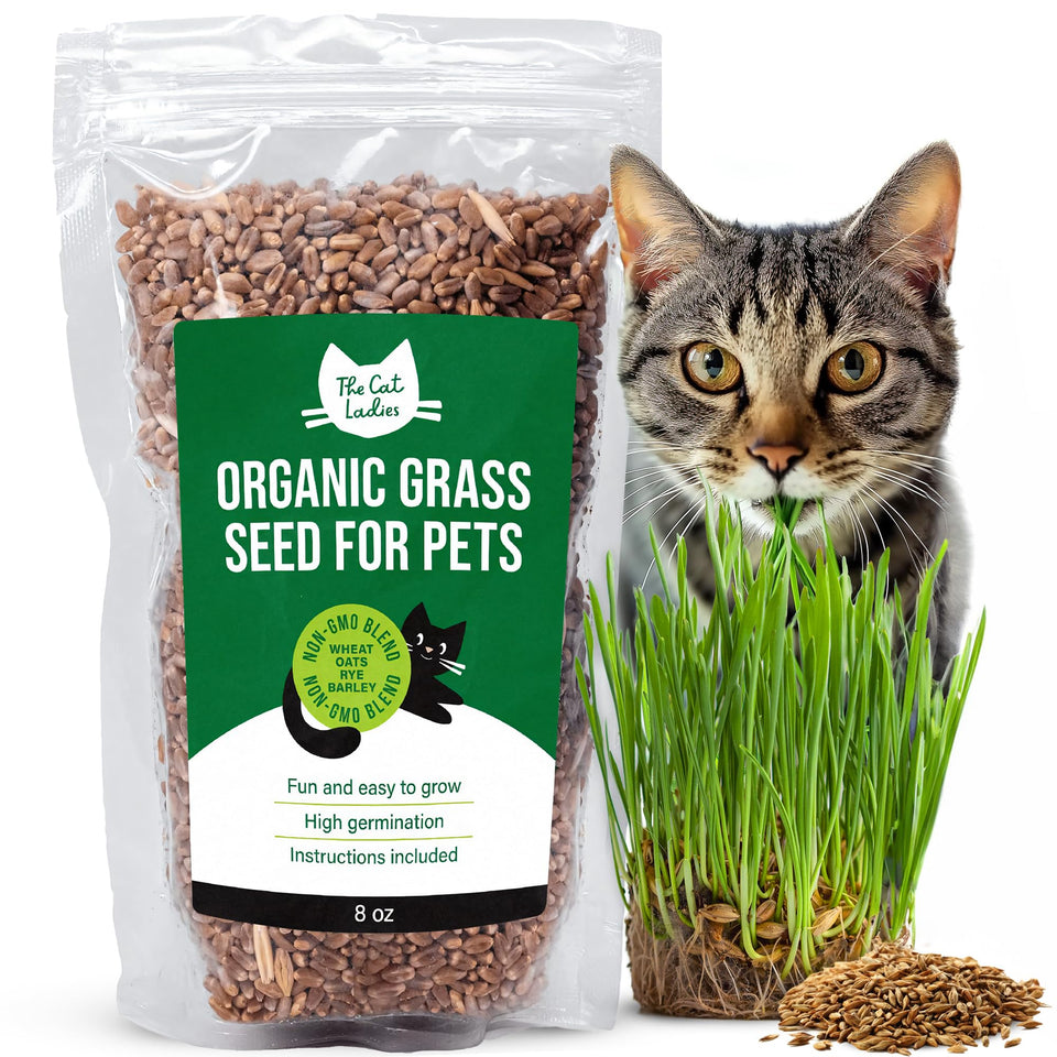 The Cat Ladies grass seed bag 8oz front view, ready to grow a healthy cat grass.
