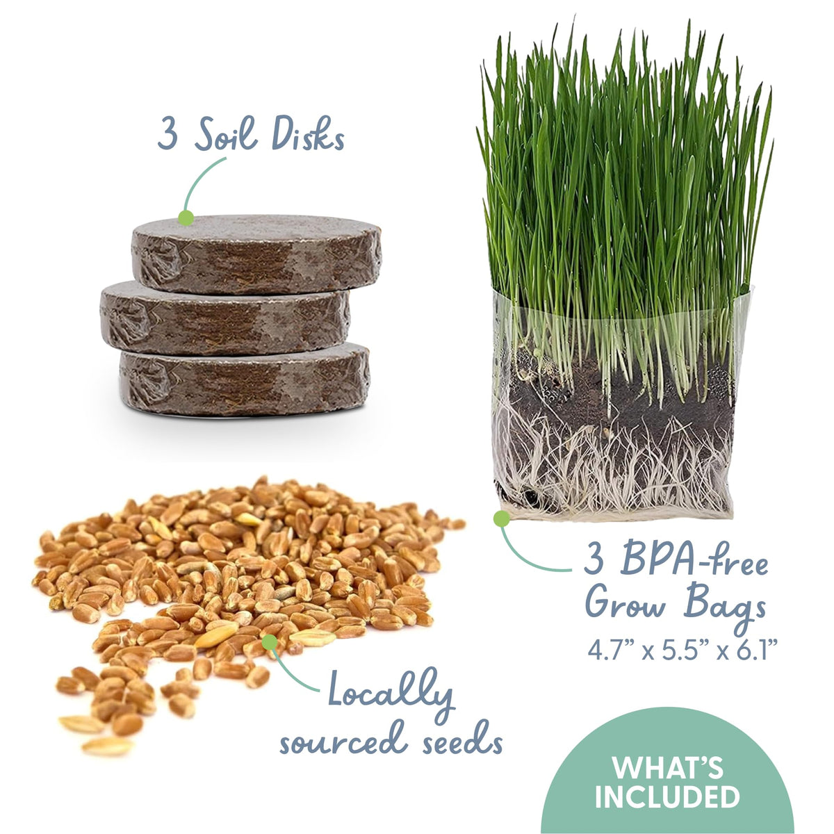 The Cat Ladies grow bags and instructions showing easy setup for healthy greens.