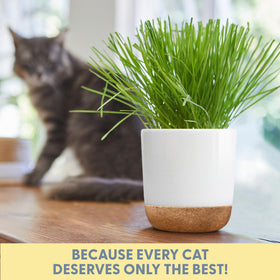 The Cat Ladies kit supports hairball care with fiber-rich cat grass.