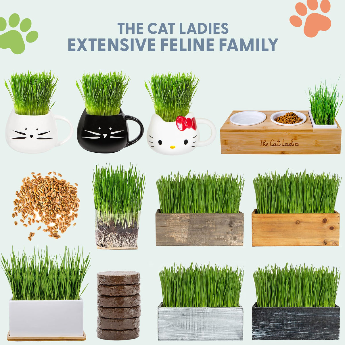 The Cat Ladies instruction insert guides easy setup and ongoing care.
