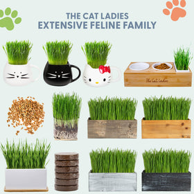 The Cat Ladies instruction insert guides easy setup and ongoing care.