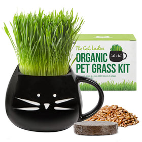 The Cat Ladies organic cat grass kit in a black planter supports healthy indoor nibbling