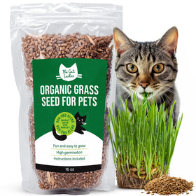 The Cat Ladies organic cat grass seed bag ready for easy home planting.
