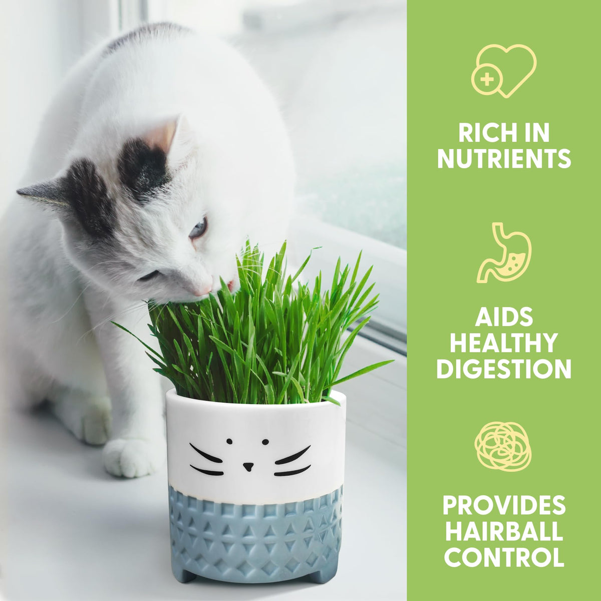 The Cat Ladies organic cat grass seed mix promotes digestion-friendly greens.