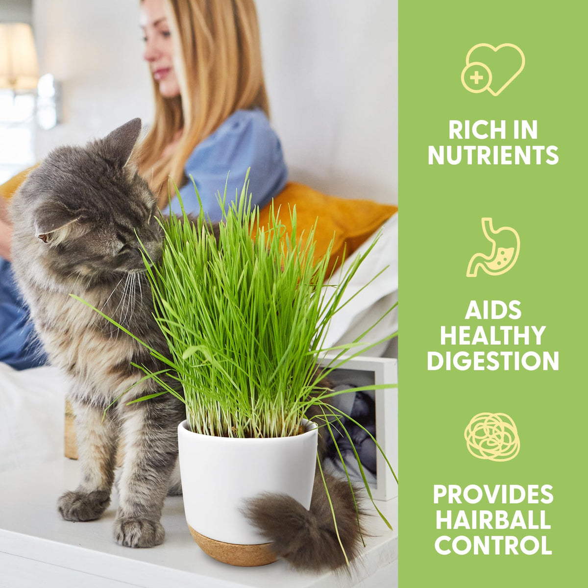 The Cat Ladies organic cat grass seeds enable easy indoor greens for cats.
