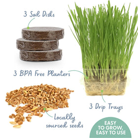 The Cat Ladies organic seed blend packaging highlights GMO-free, local seeds