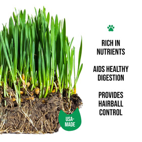 The Cat Ladies organic seed mix provides fiber-rich greens for quick sprouts.