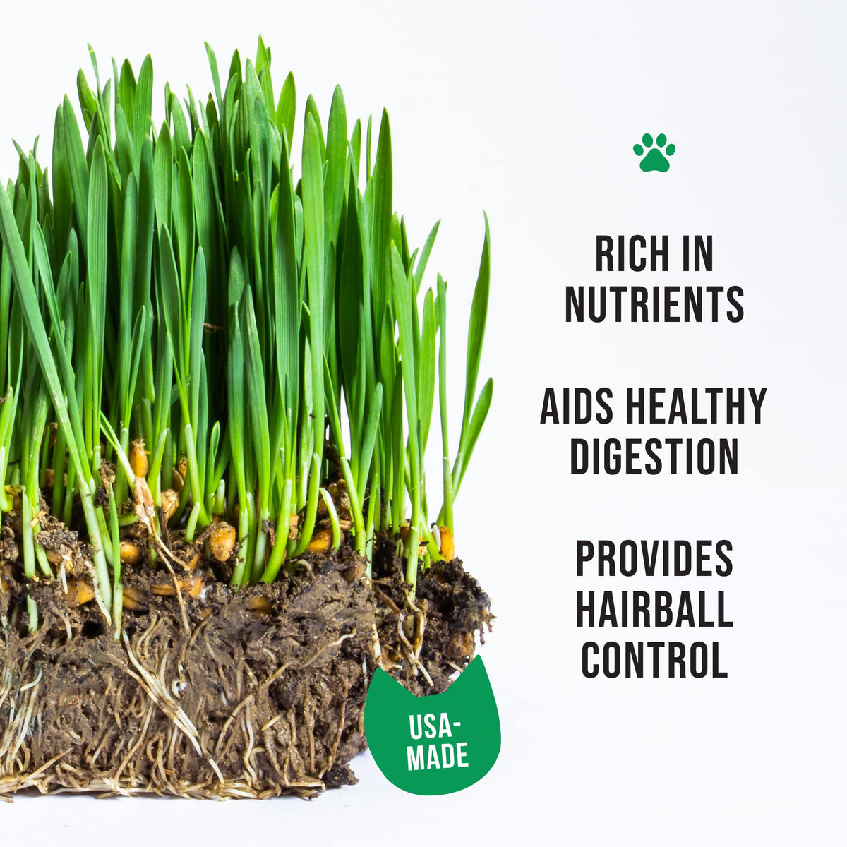 The Cat Ladies organic seeds closeup highlight locally sourced, non-GMO options for vibrant cat grass.
