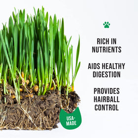 The Cat Ladies organic seeds closeup highlight locally sourced, non-GMO options for vibrant cat grass.