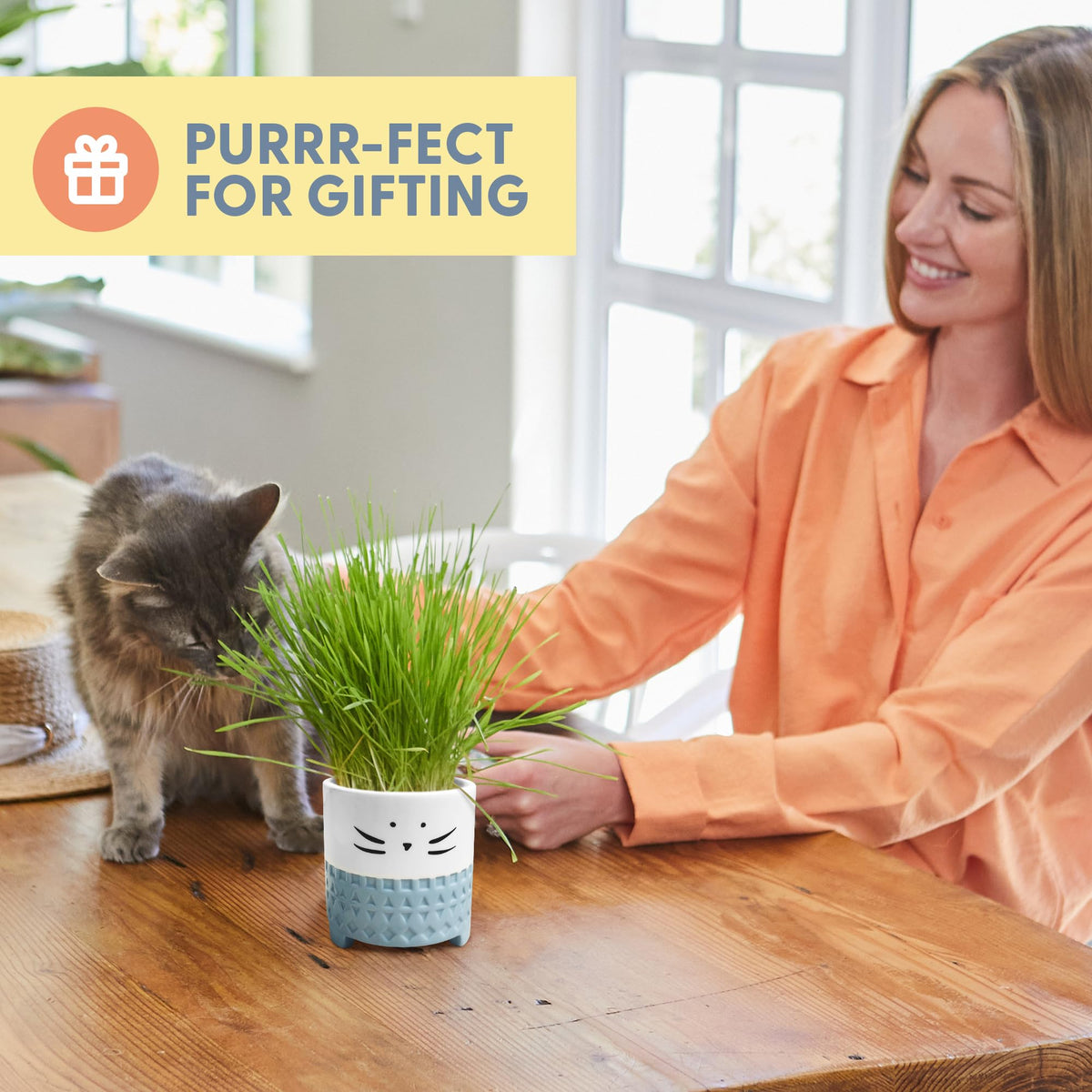 The Cat Ladies soil disk helps quick, easy planting.