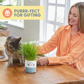 The Cat Ladies soil disk helps quick, easy planting.