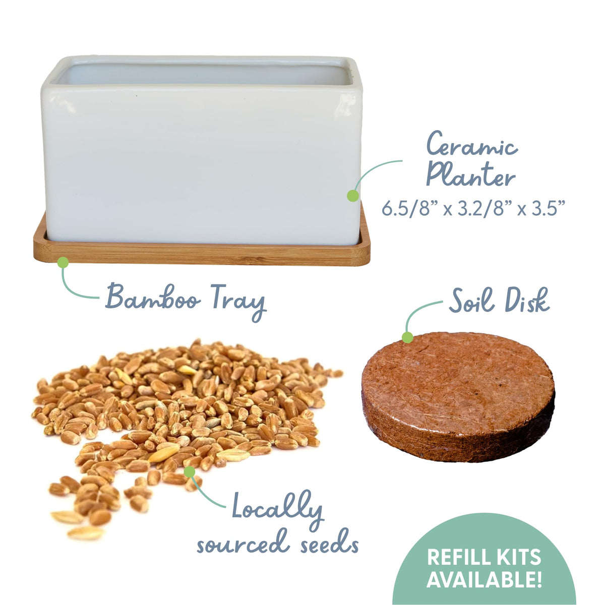 Soil disk included for quick setup and reliable germination.