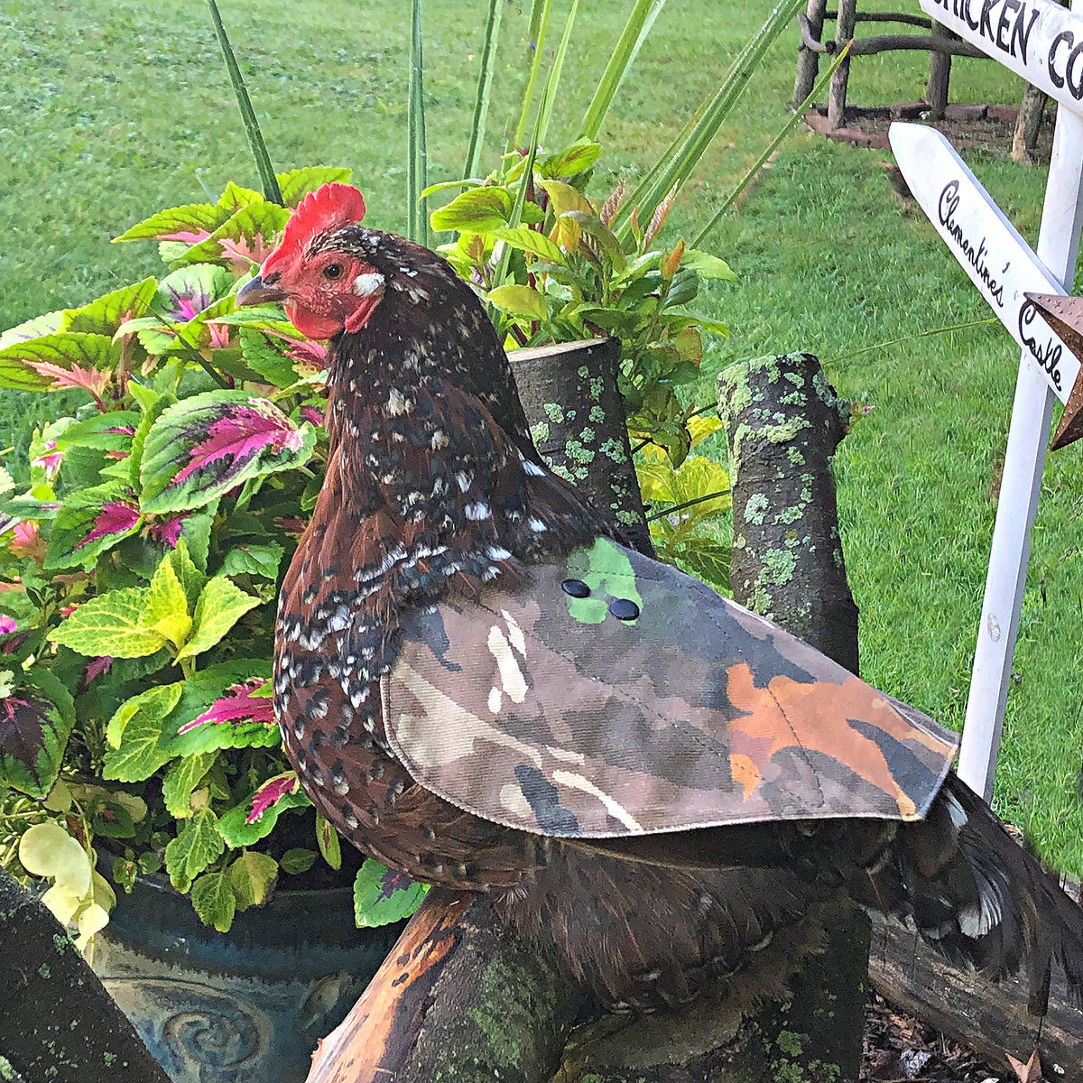 The Chicken Chick Hen Saddle camouflage pattern adds light predator deterrence while roosting.