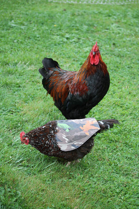The Chicken Chick Hen Saddle sturdy stitching maintains fit after wash cycles.