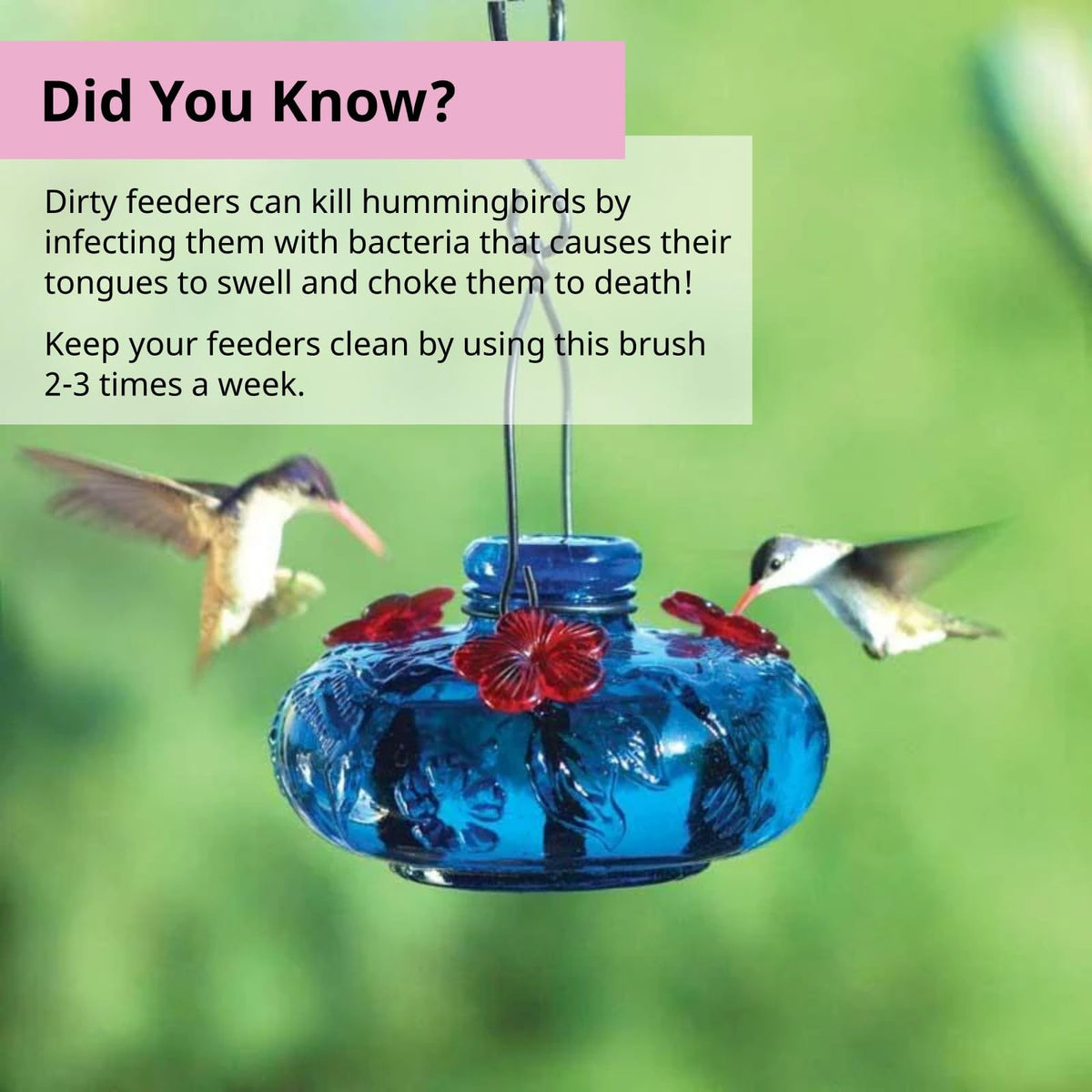 The FryOilSaver Company made in USA brush offers durable performance.